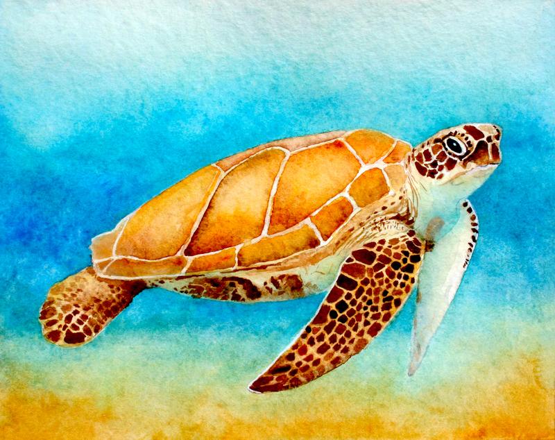 SeaTurtle